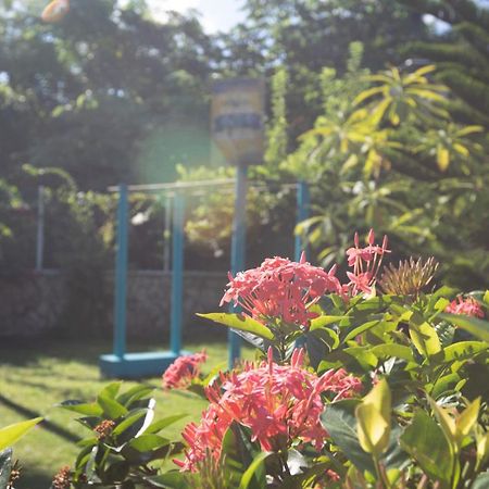 San Andrés Hosteria Mar Y Sol מראה חיצוני תמונה