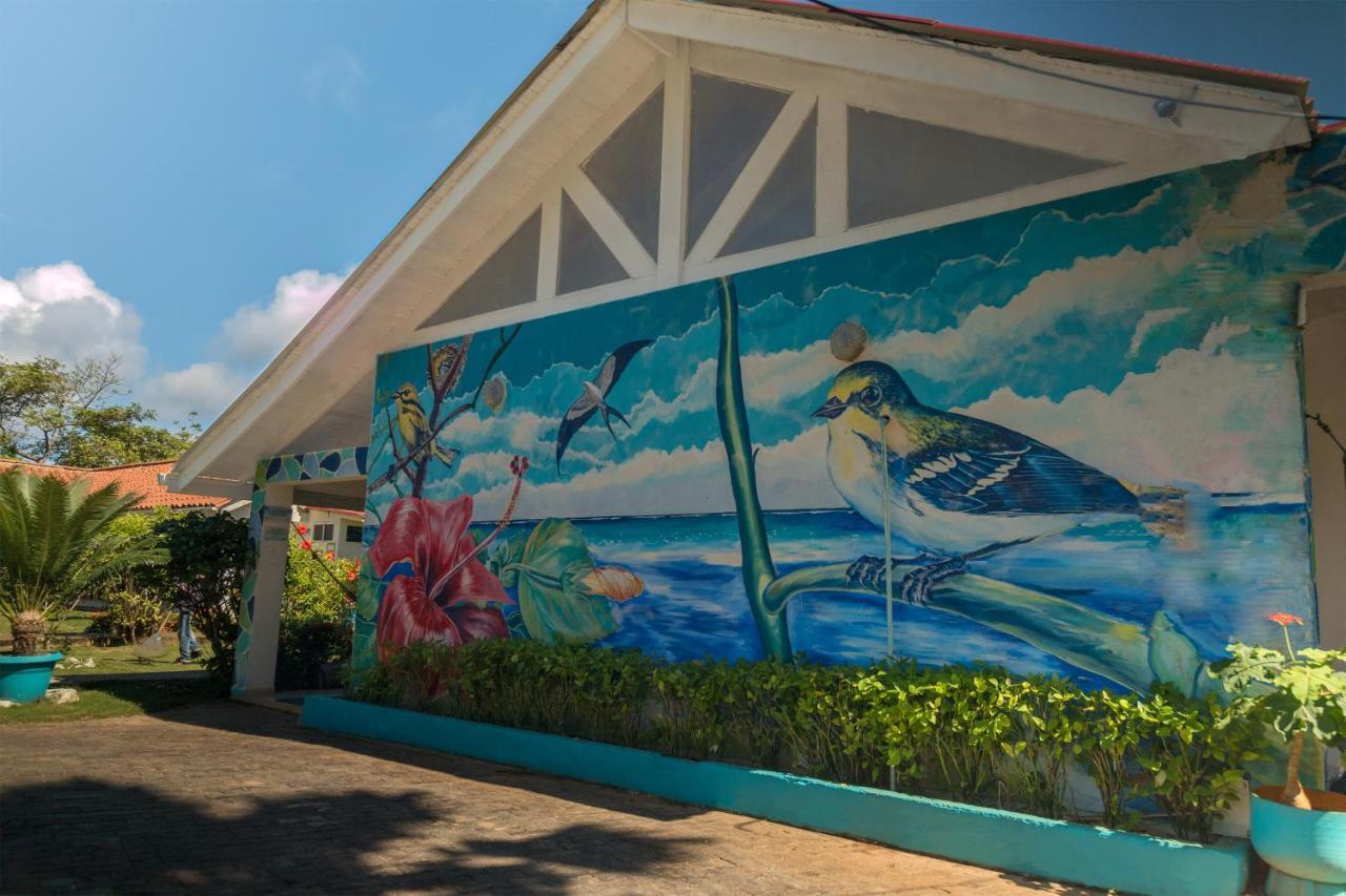 San Andrés Hosteria Mar Y Sol מראה חיצוני תמונה