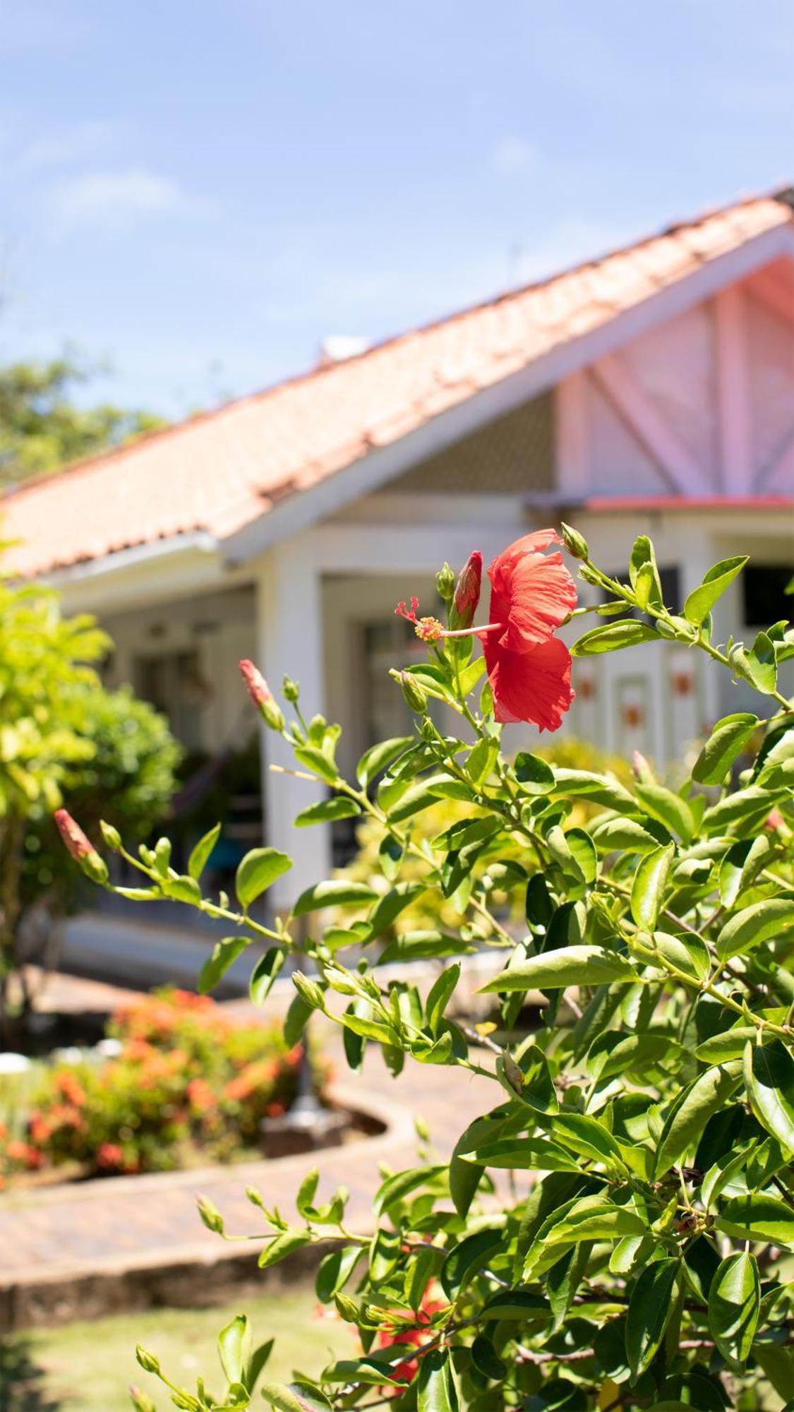 San Andrés Hosteria Mar Y Sol מראה חיצוני תמונה