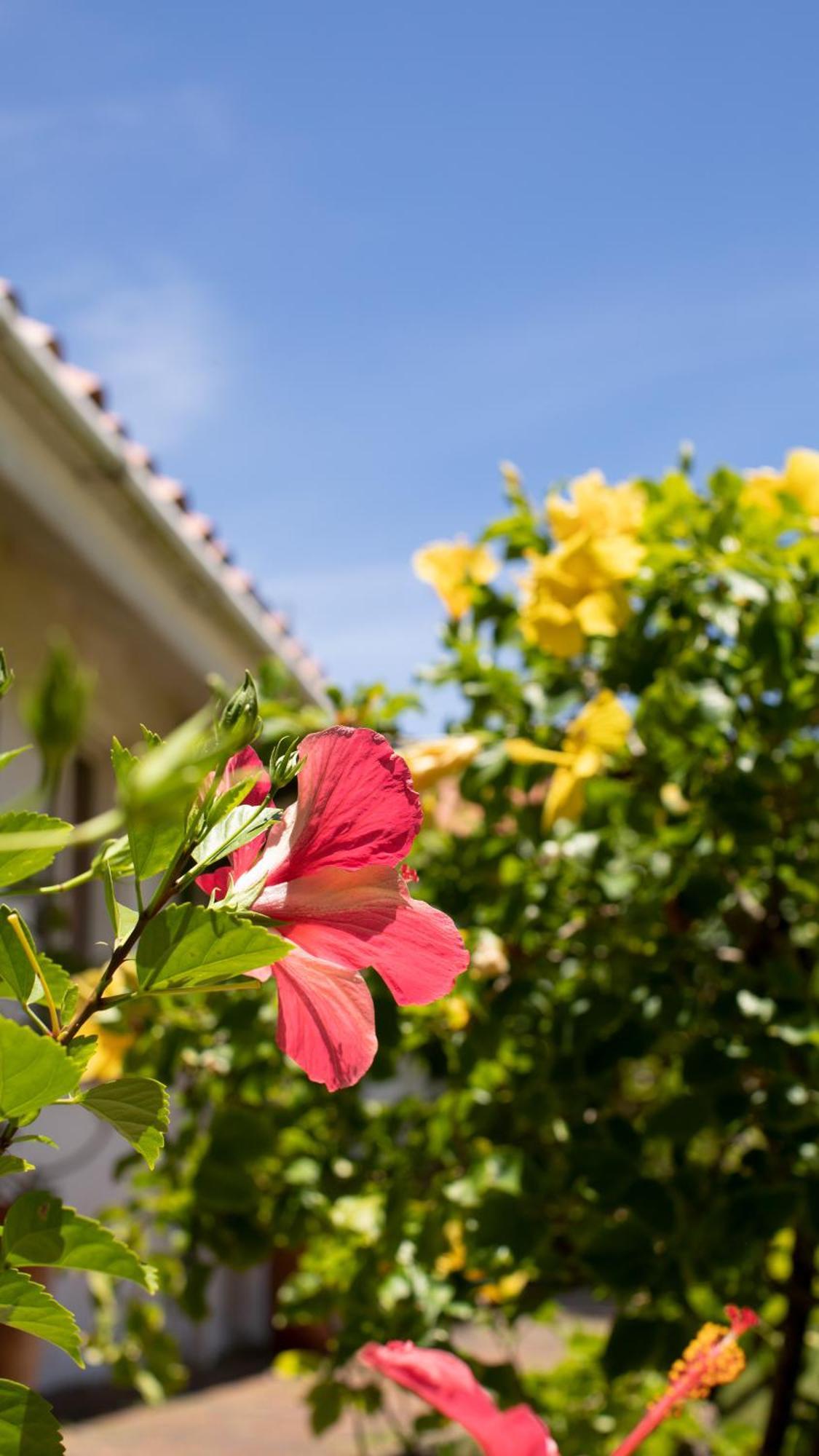 San Andrés Hosteria Mar Y Sol מראה חיצוני תמונה
